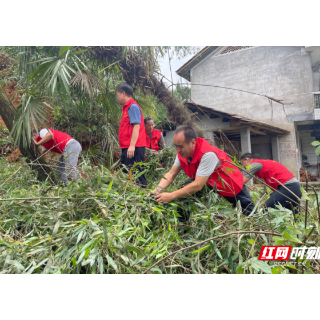 麻阳江口墟镇：干群上阵“一条心”  灾后重建有 “温度”