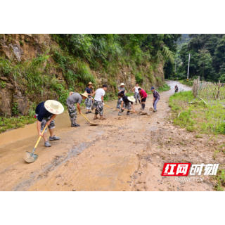 麻阳文昌阁乡：基干民兵齐上阵   灾后清理路保畅通