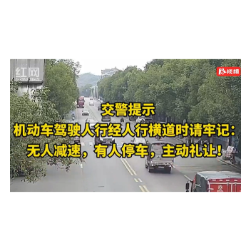 斑马线前不礼让？交警：全责！