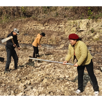 中方三岔溪村：山坡变梯田 荒地变为沃土
