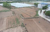 中方县：抢抓农时忙秋种 油菜栽种掀热潮