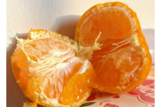 溆浦县供电公司：护航柑橘丰收季  电力守护助农兴