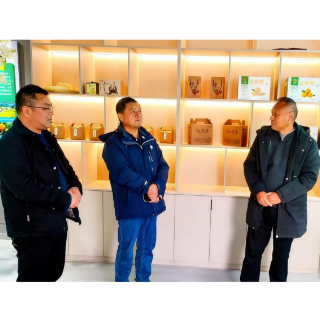 洪江市大崇乡：科技特派员深入梨园“把脉开方” 助力金秋梨产业提质增效