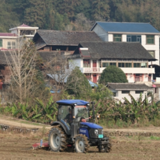 通道：冬闲田变致富田  土豆基地冬种忙