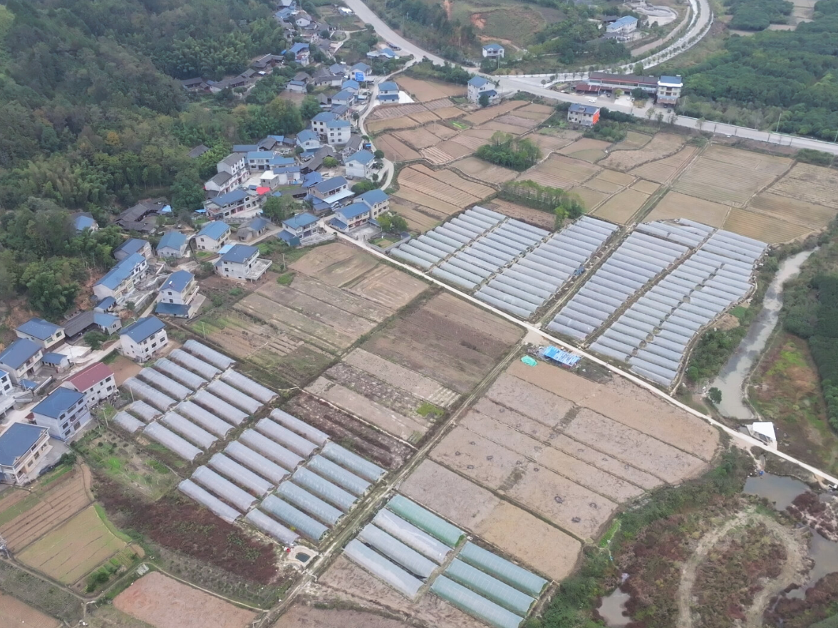 中方县：从 “跟风种” 到 “精准种” 冬耕田里绘新景