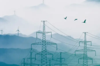 新春走基层丨新婚喜气盈门来 电力护航暖人心