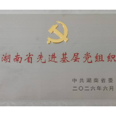 党建引领铸检魂 洪江市检察院机关党支部获评全省先进基层党组织
