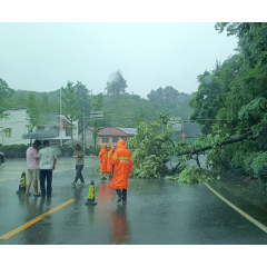 洪江区:闻“风”而动,暴雨中筑起公路“安全防线”