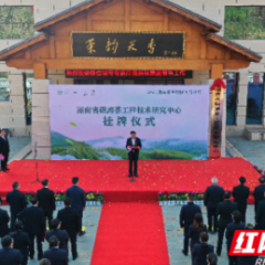 视频 | 科技引领再添“茶香”  湖南省碣滩茶工程技术研究中心在沅陵挂牌