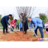 拥抱自然 播撒绿色怀化电台第六届“城市公益林行动”正式开启