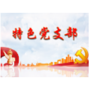 全国先进基层党组织 | 辰州矿业党建巡礼④