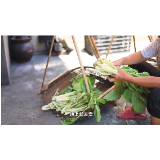 寻味靖州——最难忘的家乡味 漂酸菜