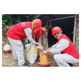 辰溪县供电公司盛夏送清凉 “一对一”贴心服务养殖户