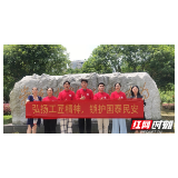 怀化职院“芯有锁属”团队开展实地调研学习活动