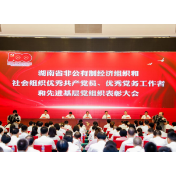 怀化市志愿者协会联合党支部书记张丽荣获“优秀共产党员”称号