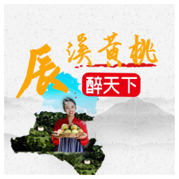 海报 | 网红“黄桃”，带你打卡千年辰阳