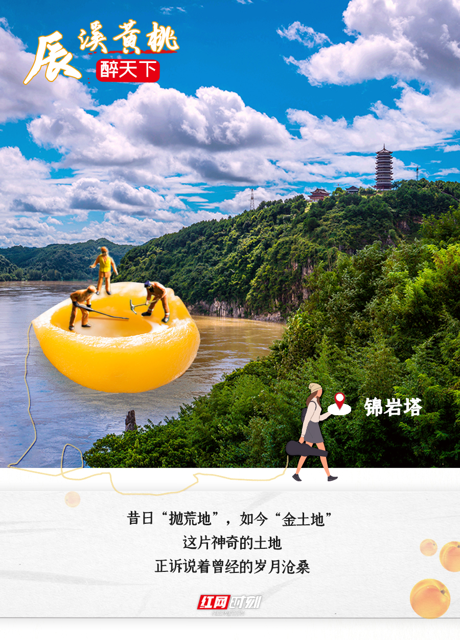 海报换.jpg