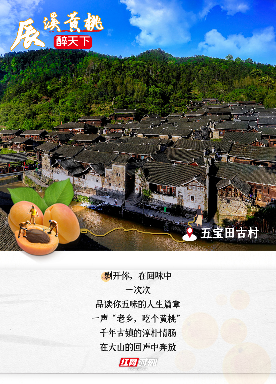 海报3.jpg