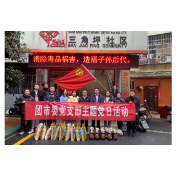 团市委党支部开展“敬老助困”主题党日活动