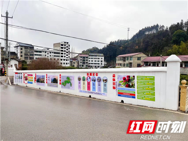 图为：坳上镇乡村振兴宣传栏.jpg