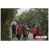 安江农校纪念园元旦假期游客量同比增长253% 
