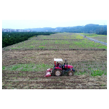 路小兰喜获全国粮食生产先进个人（粮食生产者）称号