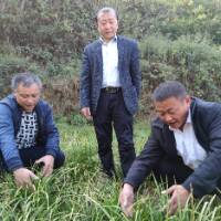 助力振兴 有声“有色”•特写 | 总算选对了路子，以后就这么干了！