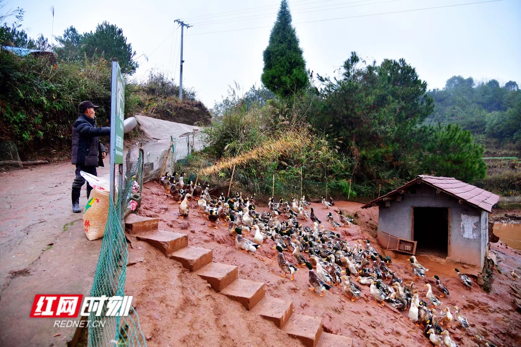 微信图片_20220201153004.jpg