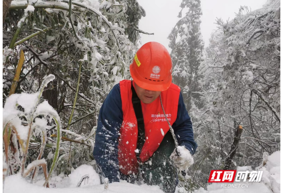 春节佳期，“雪峰飞燕”不归“巢”