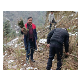 新晃：爱绿植绿 建设美丽新村