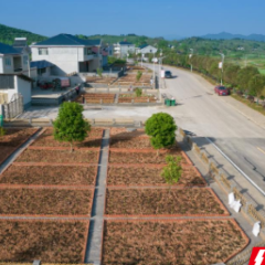 人居环境整治提升 | 洪江市：绘一幅蓝图 留一抹乡愁