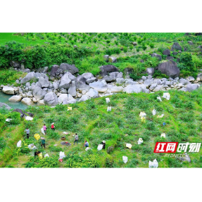 组图丨清流石上  良田美池  溆浦这个村庄长满了乡愁