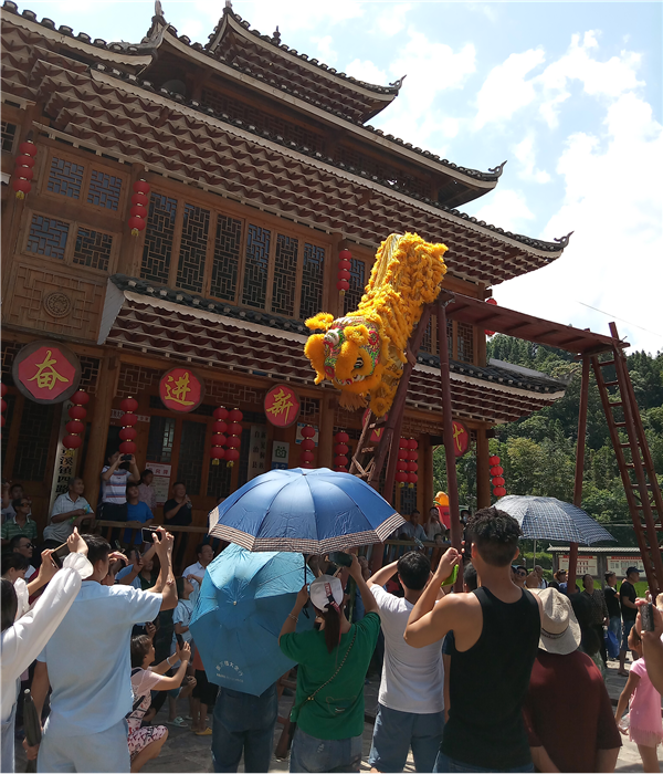 图片11.png 图片11.png