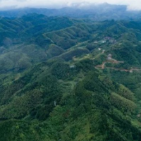 观察丨“青山”可贷款变现为“金山”，这个县在全省作出了探索
