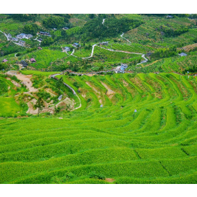 跟着旅发大会游怀化 | 在溆浦的山野里把日子过成诗