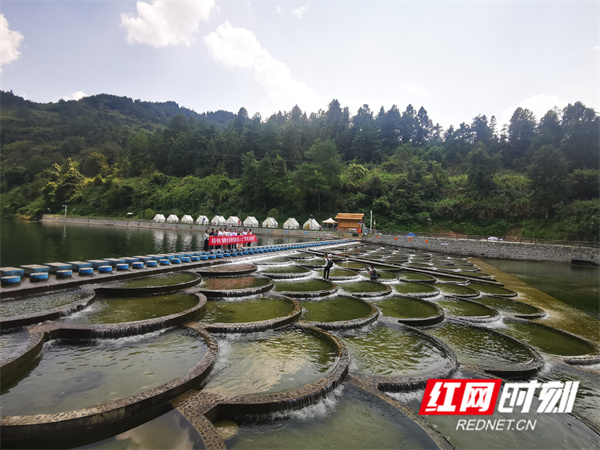 微信图片_20230909181049.jpg 微信图片_20230909181049.jpg