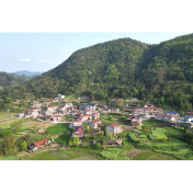 沅陵清捷河村：古杏树下话幸福，振兴路上绘蓝图