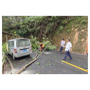 通道：未雨绸缪早部署  打好防汛“主动仗”