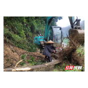 防汛一线见闻|辰溪县交通运输局：守好防汛的“交通门”，当好防汛“先锋员”