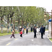 雨润荆坪客盈门 外地游客点赞荆坪古村