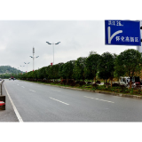 散文丨正是桂花飘香时