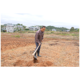 中方县：抢抓农时种油菜 田间劳作绘 “丰” 景