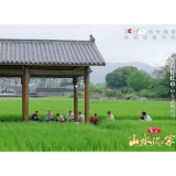 中方县:“央视效应”加持,荆坪香葱火出圈