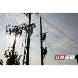 靖州县供电公司:安全用电进乡镇 贴心服务护民生