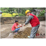 通道县供电公司：打造绿色廊道 筑牢电网“防火墙”