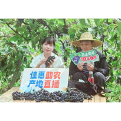 新晃：打通“田间地头”到“百姓餐桌”新通道 助农增收成效显著