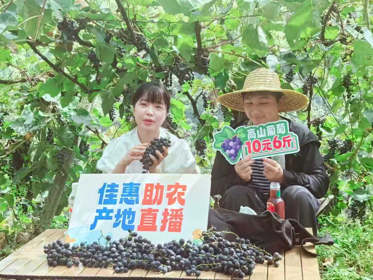 微信图片_20251009143514.jpg