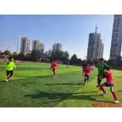 怀化市2025年“新华杯”青少年校园足球联赛初中组开赛