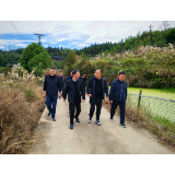 怀化产投:把乡村振兴做到老百姓的心坎上
