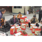 芷江县罗卜田乡：念好柑橘“产业经”带动群众 奏响“富民曲”